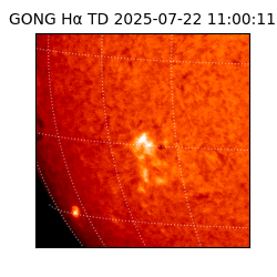 gong - 2025-07-22T11:00:11