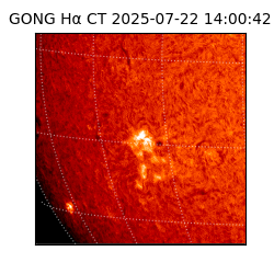gong - 2025-07-22T14:00:42