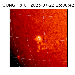 gong - 2025-07-22T15:00:42