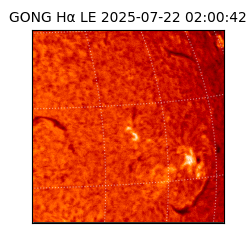 gong - 2025-07-22T02:00:42