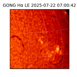 gong - 2025-07-22T07:00:42