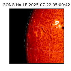 gong - 2025-07-22T05:00:42