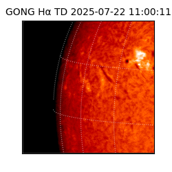 gong - 2025-07-22T11:00:11