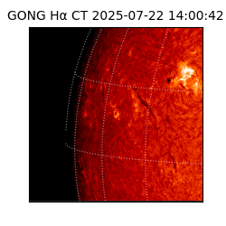 gong - 2025-07-22T14:00:42