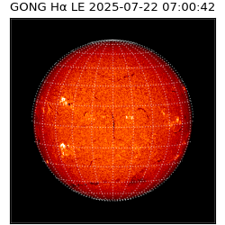 gong - 2025-07-22T07:00:42