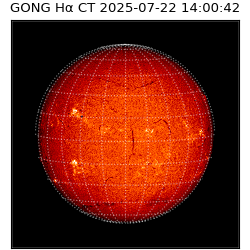 gong - 2025-07-22T14:00:42