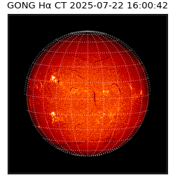 gong - 2025-07-22T16:00:42