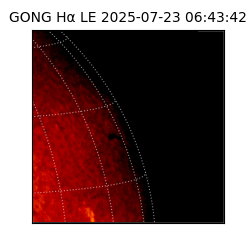 gong - 2025-07-23T06:43:42