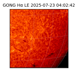 gong - 2025-07-23T04:02:42