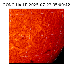 gong - 2025-07-23T05:00:42