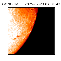 gong - 2025-07-23T07:01:42
