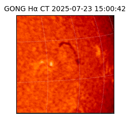 gong - 2025-07-23T15:00:42