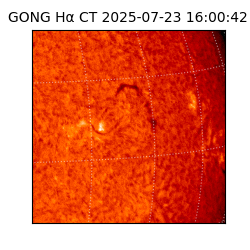 gong - 2025-07-23T16:00:42