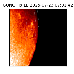 gong - 2025-07-23T07:01:42