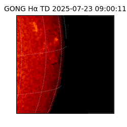 gong - 2025-07-23T09:00:11