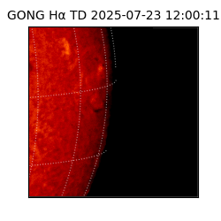 gong - 2025-07-23T12:00:11