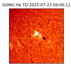 gong - 2025-07-23T09:00:11