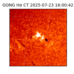 gong - 2025-07-23T16:00:42