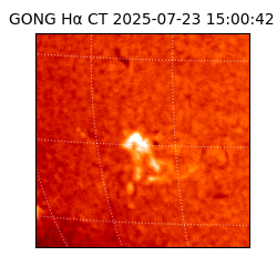 gong - 2025-07-23T15:00:42