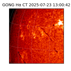 gong - 2025-07-23T13:00:42
