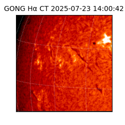 gong - 2025-07-23T14:00:42
