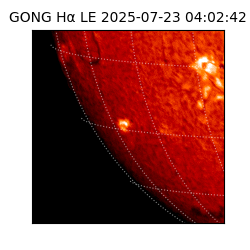 gong - 2025-07-23T04:02:42