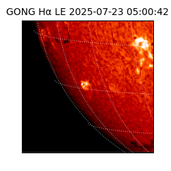 gong - 2025-07-23T05:00:42