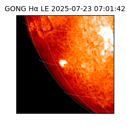 gong - 2025-07-23T07:01:42