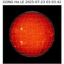gong - 2025-07-23T03:03:42