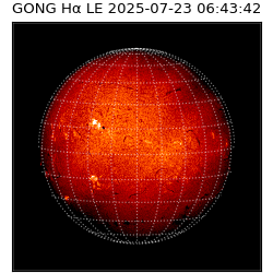 gong - 2025-07-23T06:43:42
