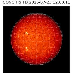 gong - 2025-07-23T12:00:11