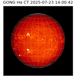 gong - 2025-07-23T14:00:42