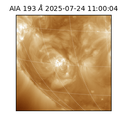 saia - 2025-07-24T11:00:04.843000