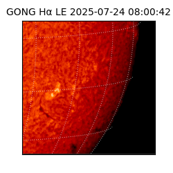 gong - 2025-07-24T08:00:42