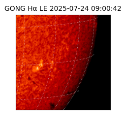 gong - 2025-07-24T09:00:42