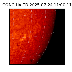gong - 2025-07-24T11:00:11
