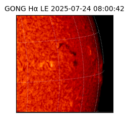 gong - 2025-07-24T08:00:42