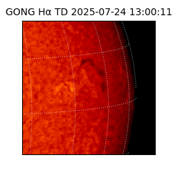 gong - 2025-07-24T13:00:11