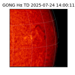 gong - 2025-07-24T14:00:11