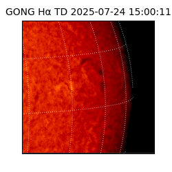 gong - 2025-07-24T15:00:11