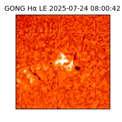 gong - 2025-07-24T08:00:42