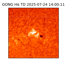 gong - 2025-07-24T14:00:11