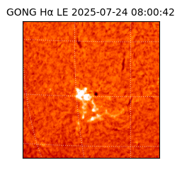gong - 2025-07-24T08:00:42