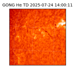 gong - 2025-07-24T14:00:11