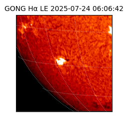 gong - 2025-07-24T06:06:42