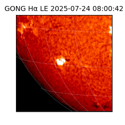 gong - 2025-07-24T08:00:42