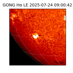 gong - 2025-07-24T09:00:42
