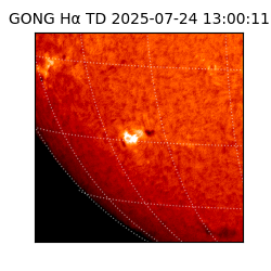 gong - 2025-07-24T13:00:11