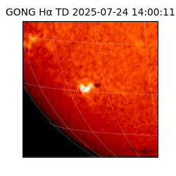 gong - 2025-07-24T14:00:11