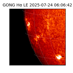 gong - 2025-07-24T06:06:42
